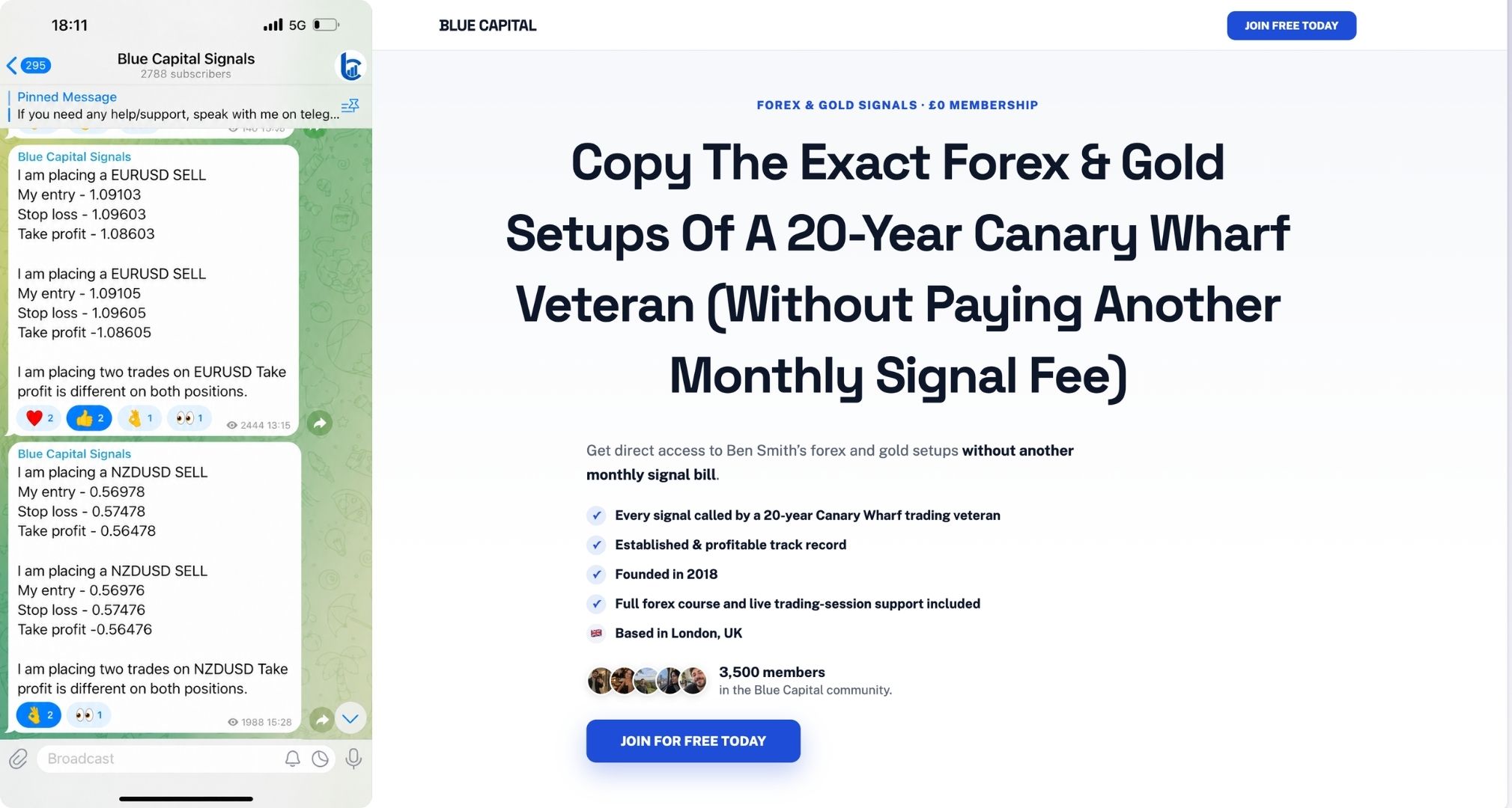 Blue Capital Signals Telegram group and website landing page
